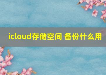 icloud存储空间 备份什么用